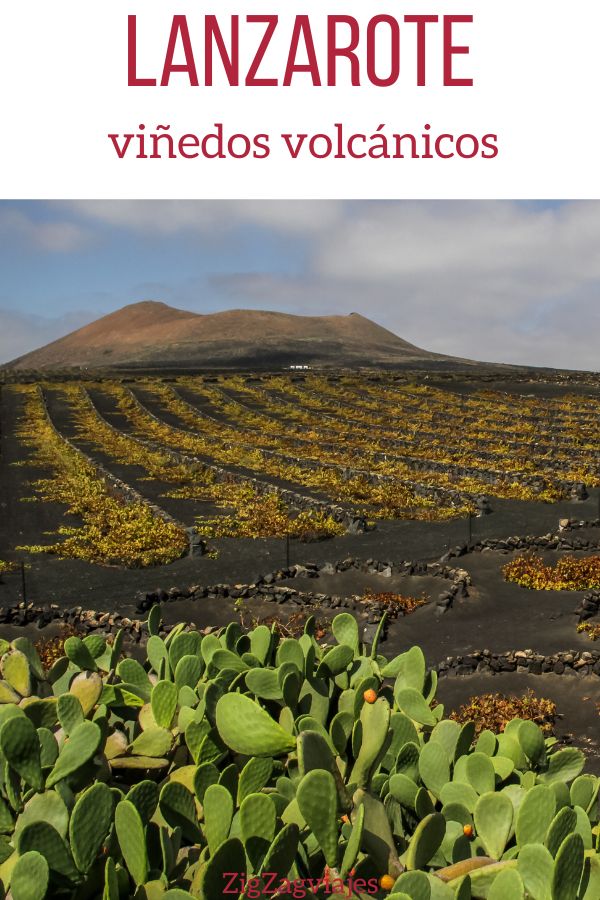 La geria Lanzarote vinedos volcanicos Pin