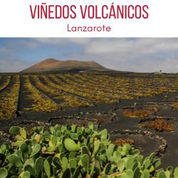 La geria Lanzarote vinedos volcanicos