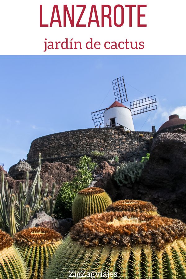 jardin de cactus Lanzarote Pin