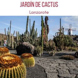 jardin de cactus Lanzarote