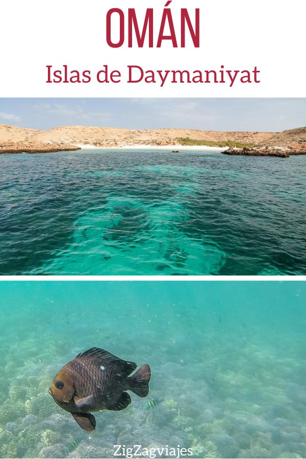 Islas de Daymaniyat Island Pin
