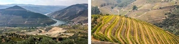 Itinerario de una semana al norte de Portugal - Valle del Douro