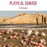 Playa al Sawadi Oman