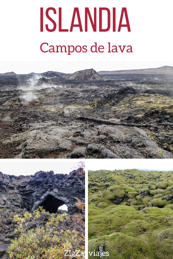 Campos de lava de Islandia Pin